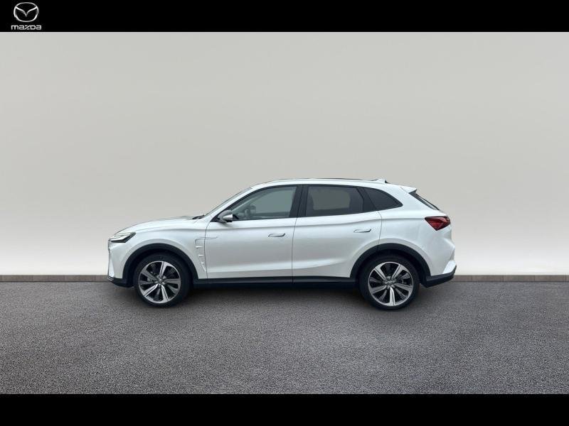 mg - Visuel 3