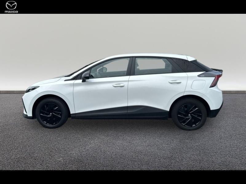 mg - Visuel 3