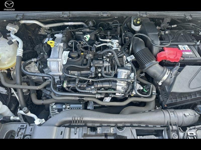 ford - Visuel 15