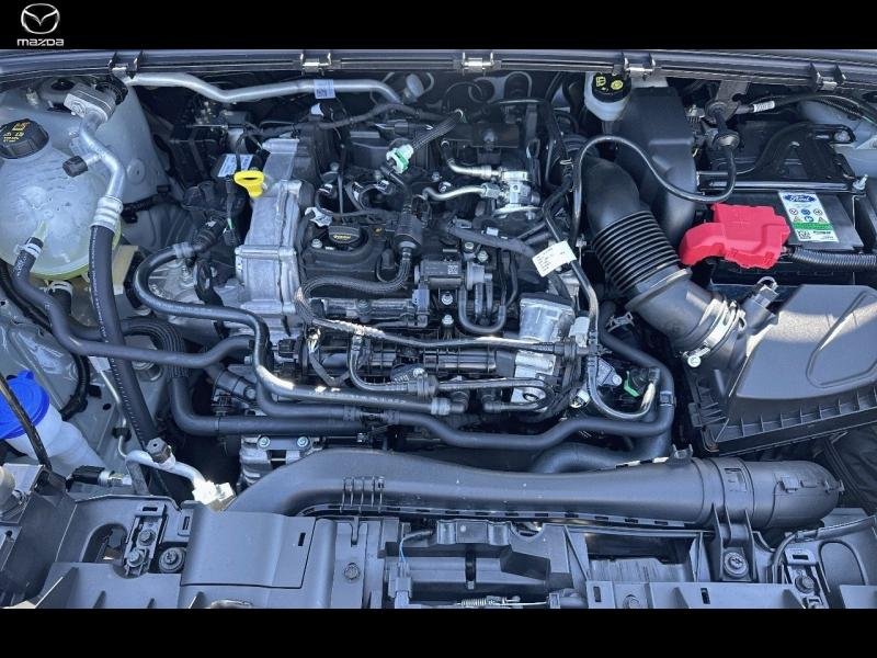 ford - Visuel 15