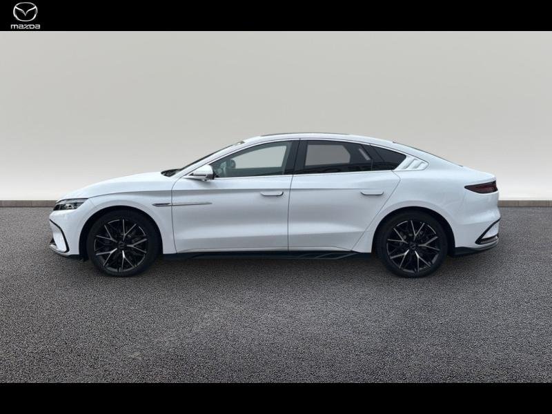 byd - Visuel 3