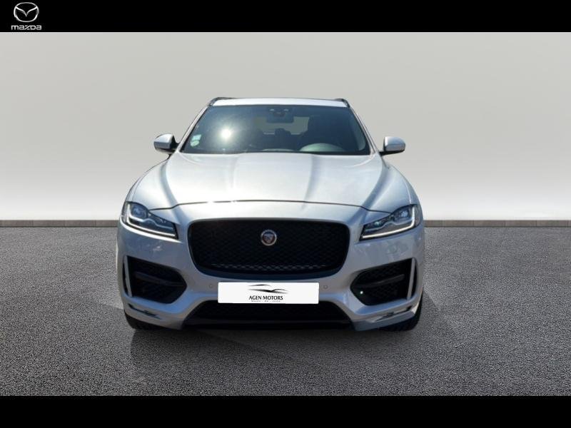 jaguar - Visuel 1
