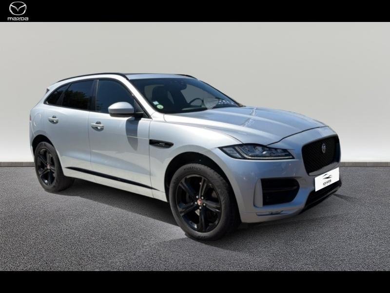 jaguar - Visuel 2