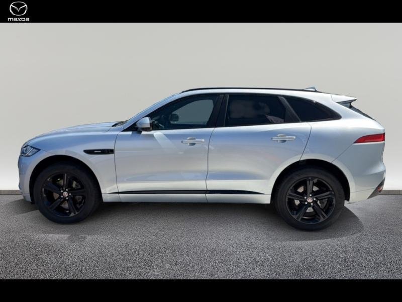 jaguar - Visuel 3