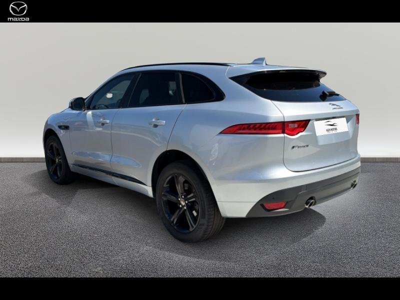 jaguar - Visuel 5