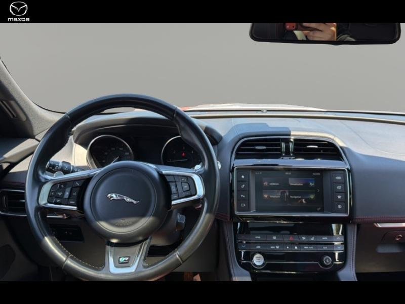 jaguar - Visuel 6