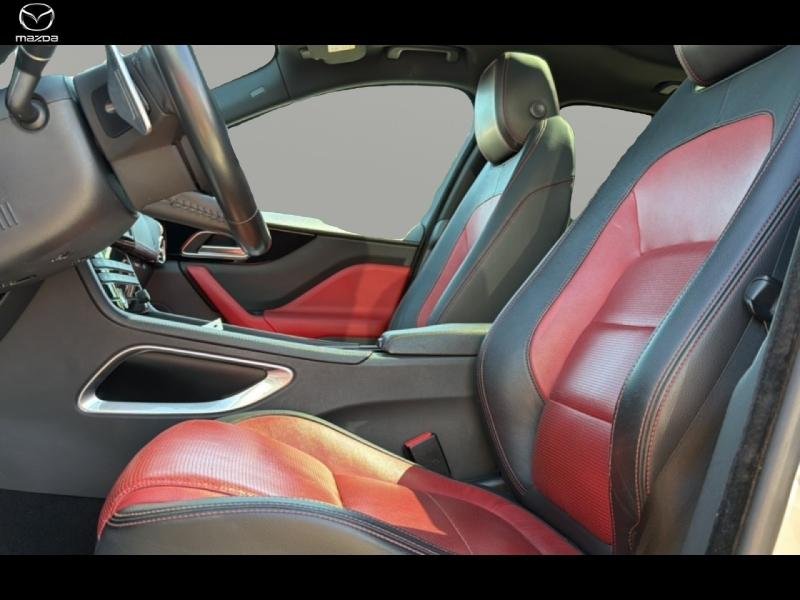 jaguar - Visuel 7