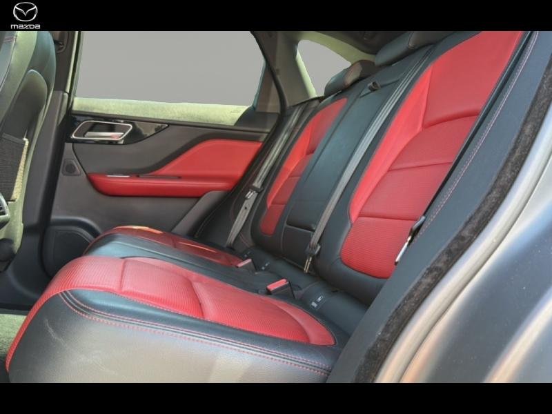 jaguar - Visuel 8