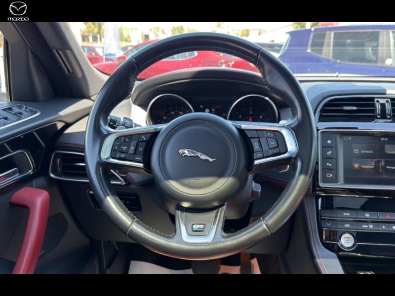 jaguar - Visuel 9
