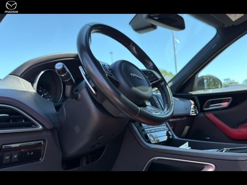 jaguar - Visuel 10