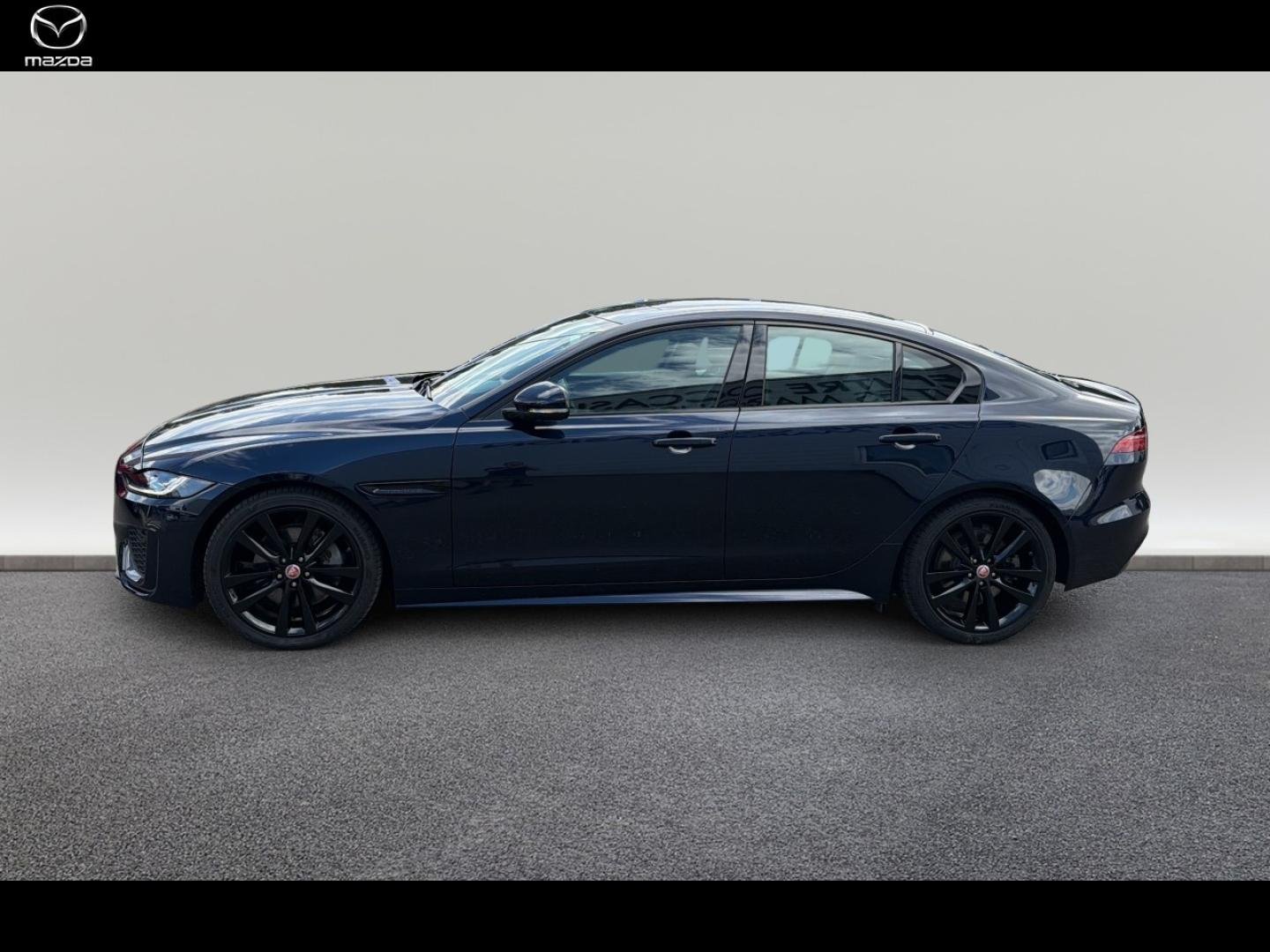 jaguar - Visuel 3