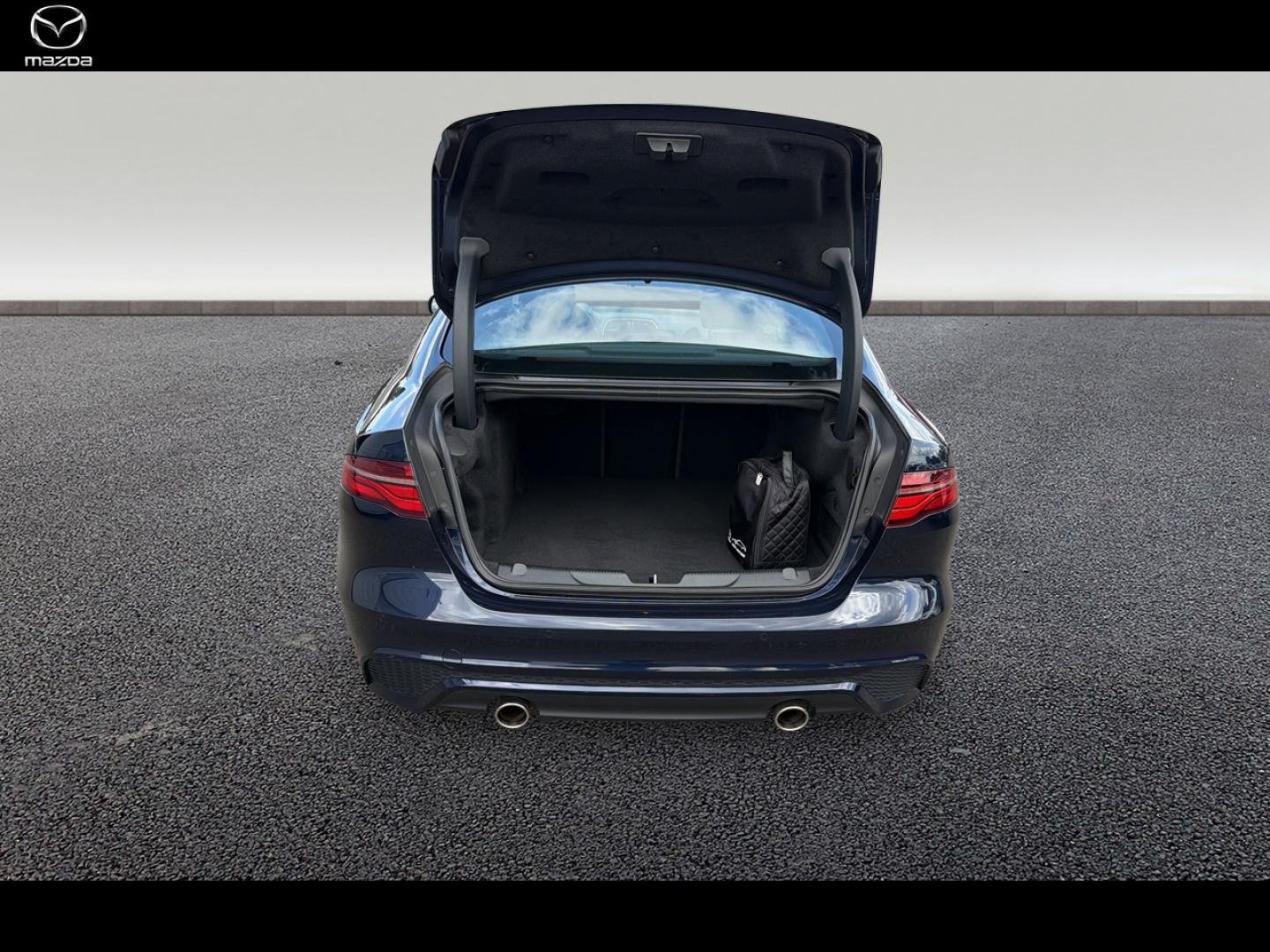jaguar - Visuel 4
