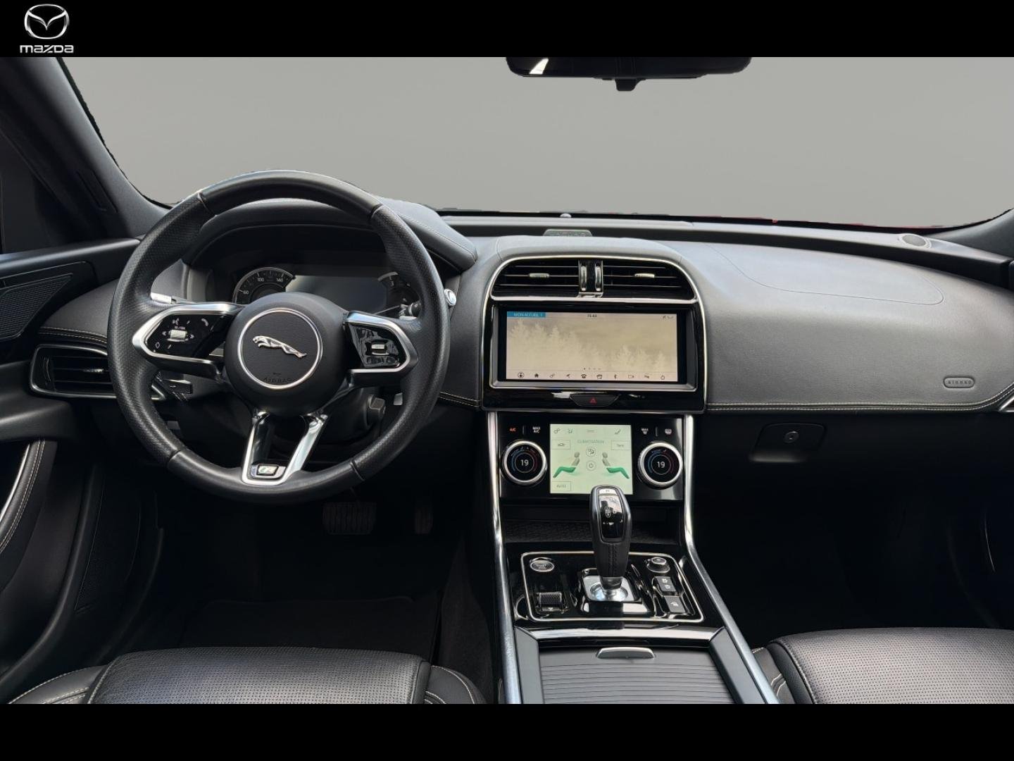 jaguar - Visuel 6