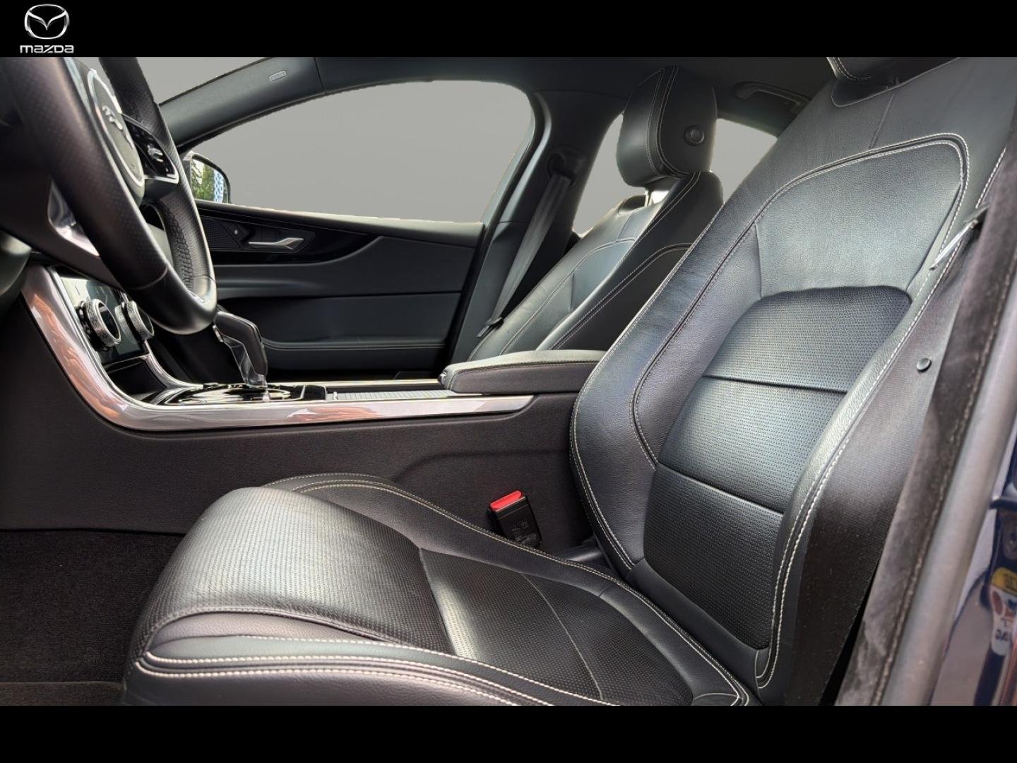 jaguar - Visuel 7