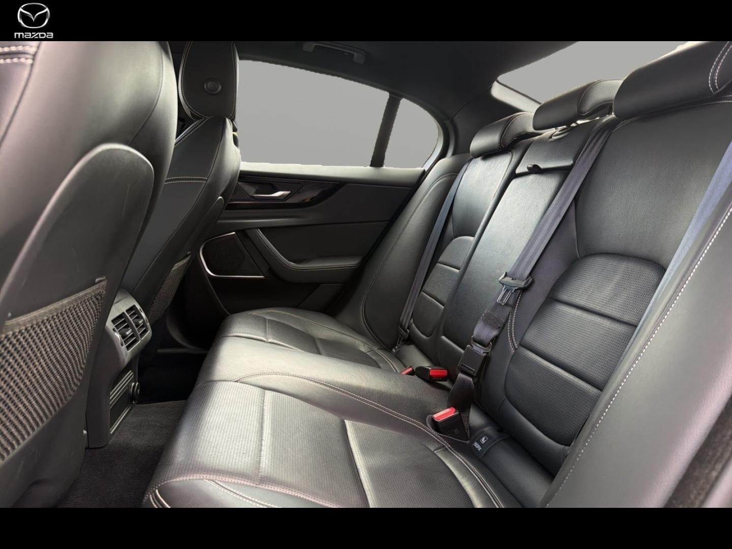jaguar - Visuel 8