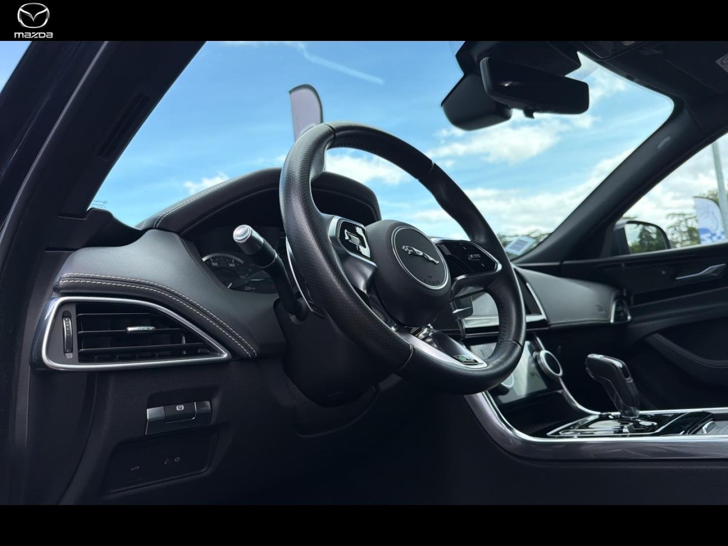 jaguar - Visuel 10