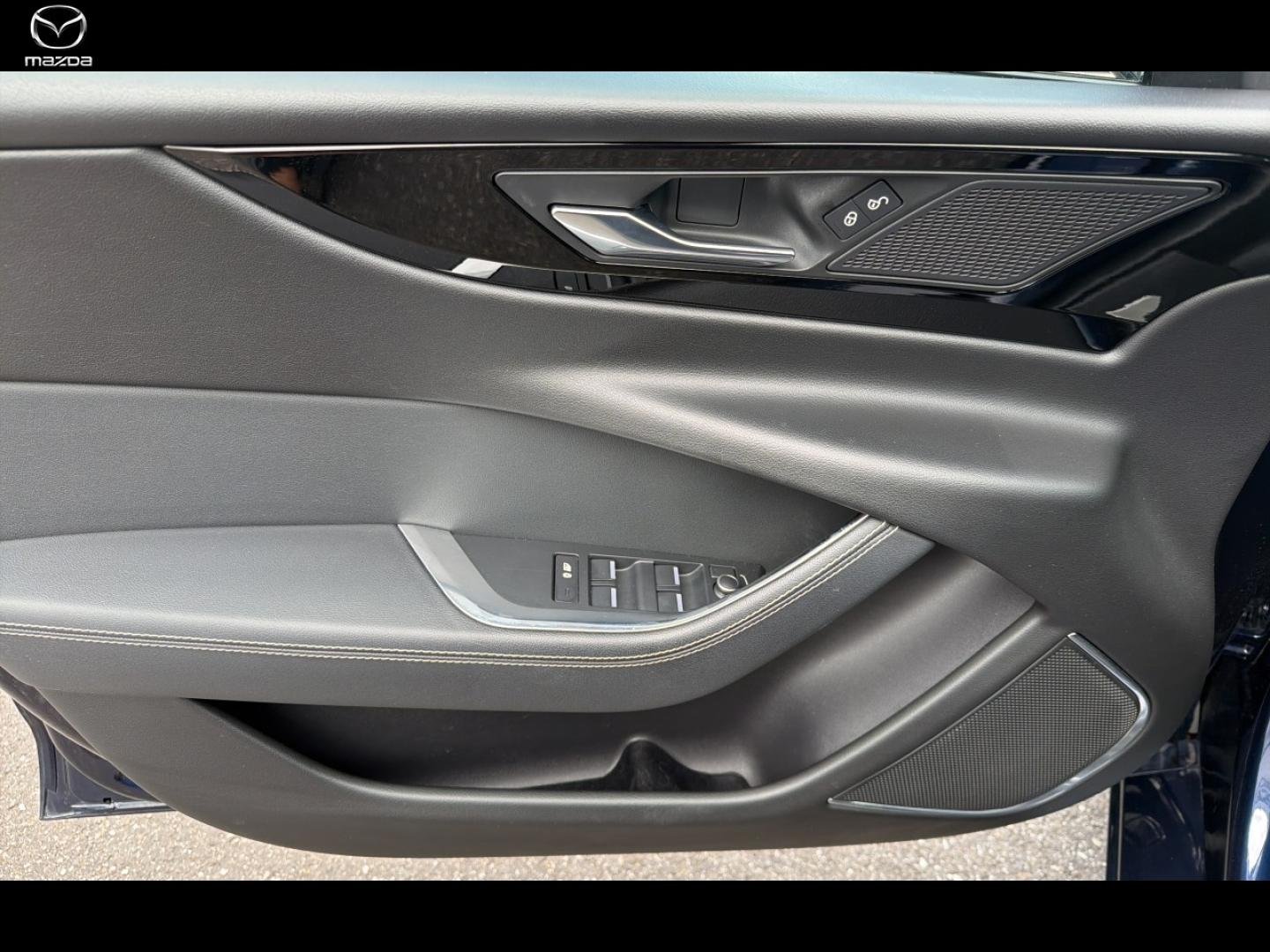jaguar - Visuel 11