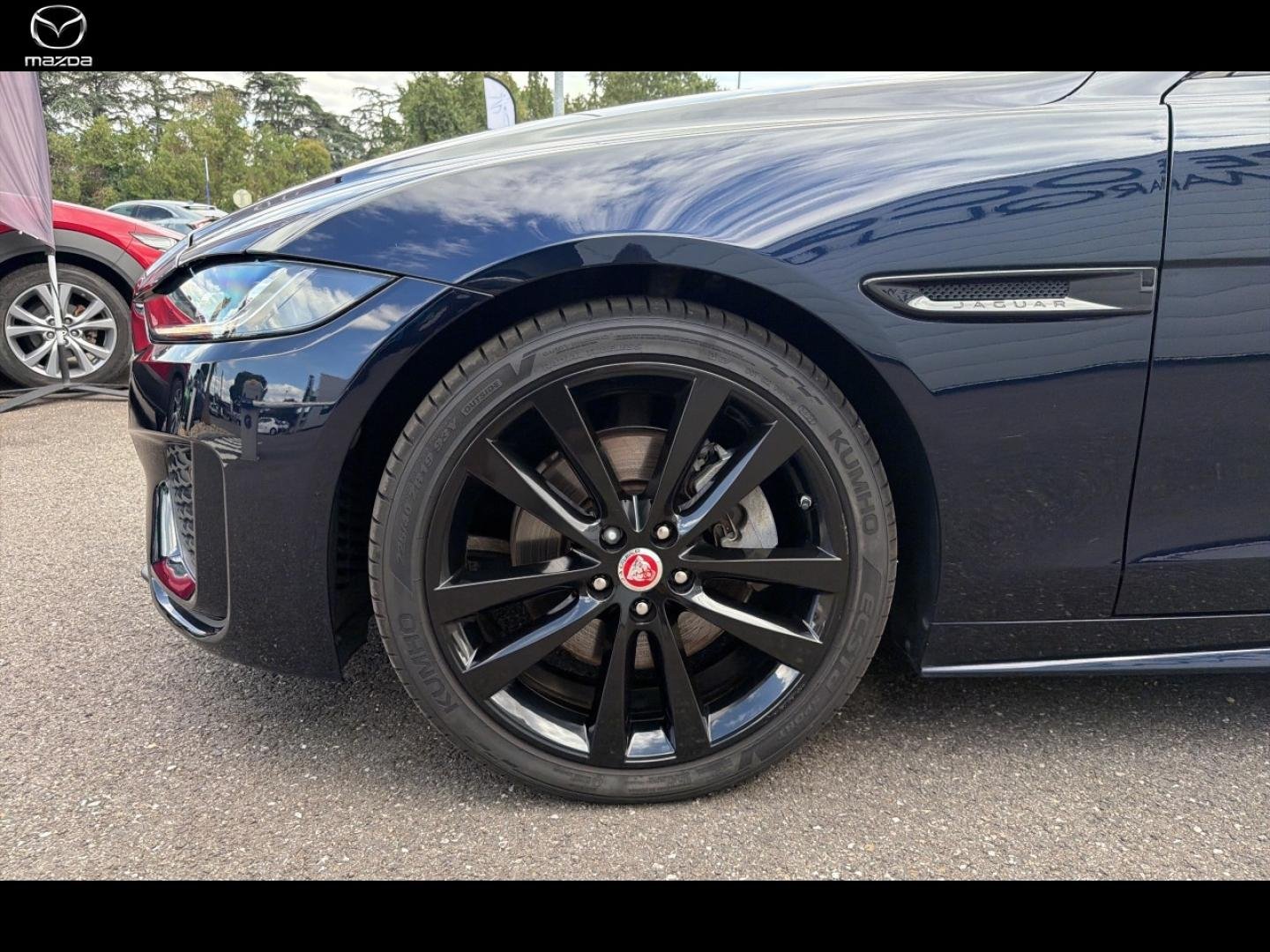 jaguar - Visuel 12