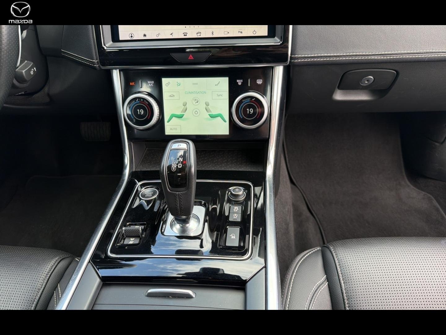 jaguar - Visuel 13