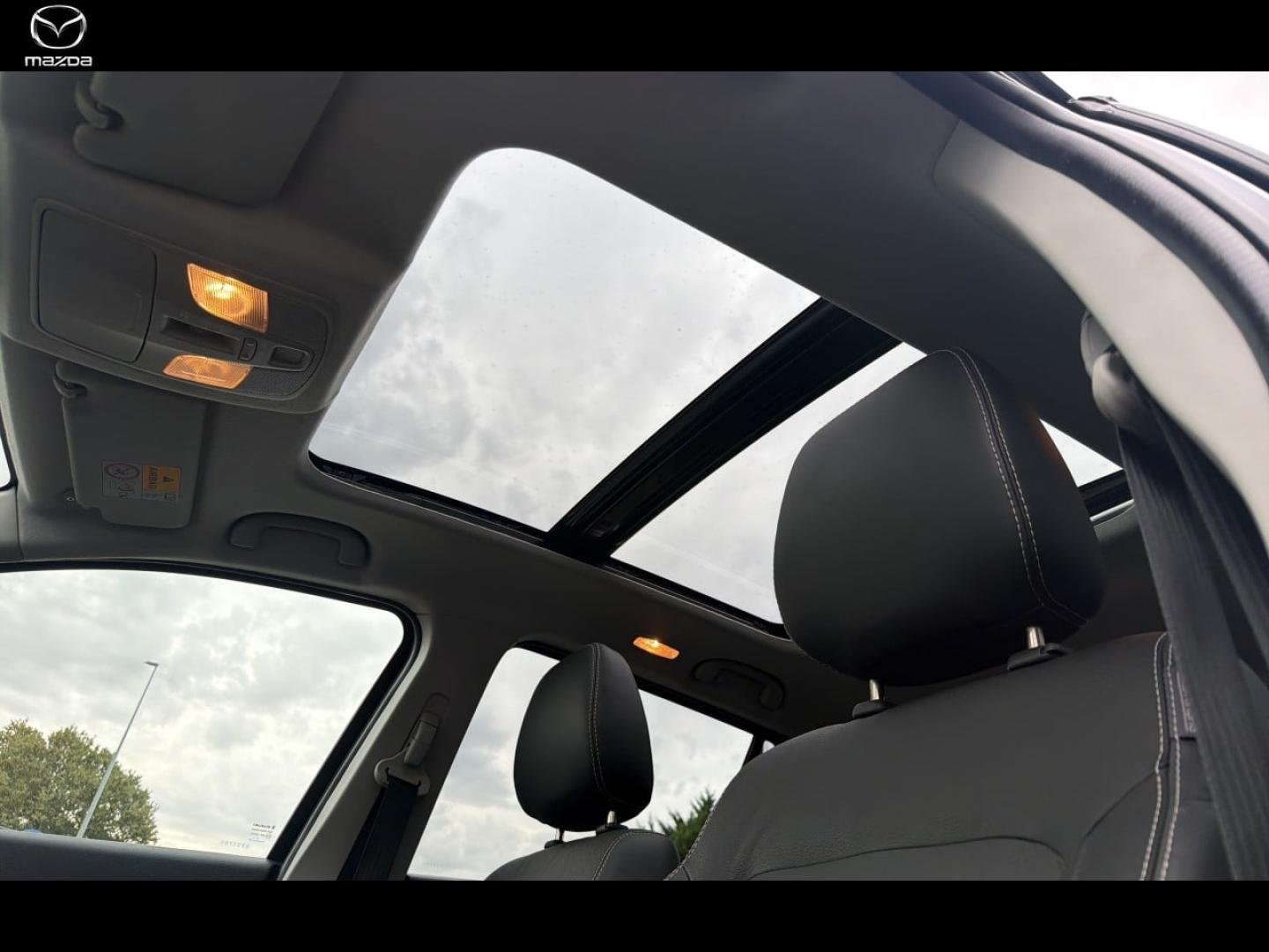 suzuki - Visuel 11